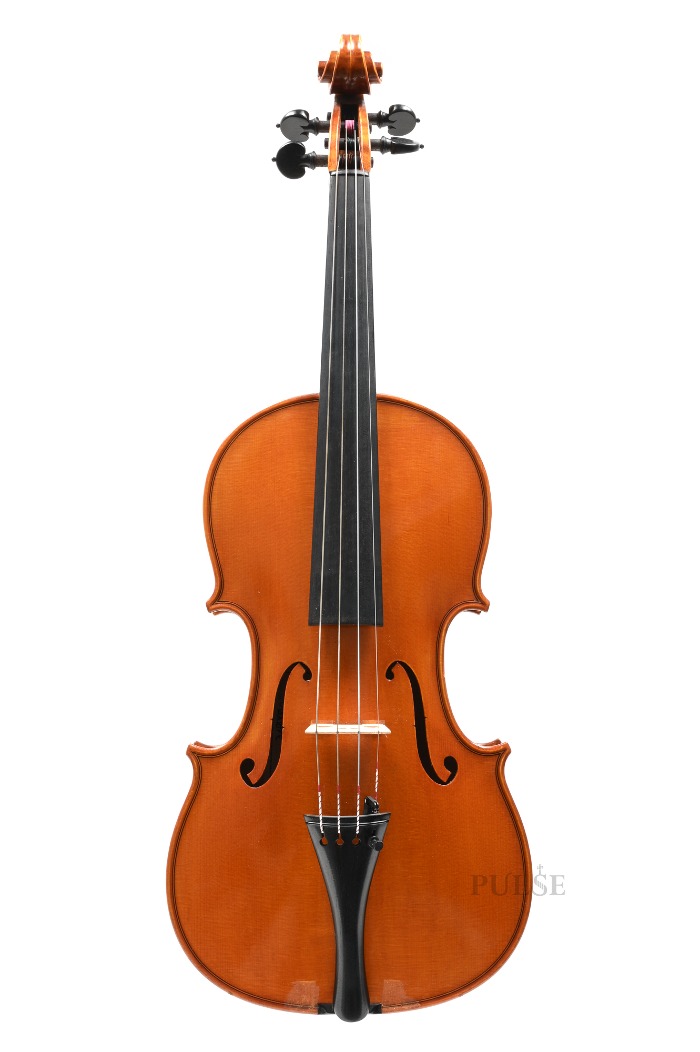A Violin by ANDREA CACCIA